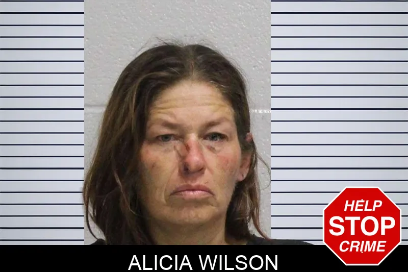 Alicia Wilson Mugshots