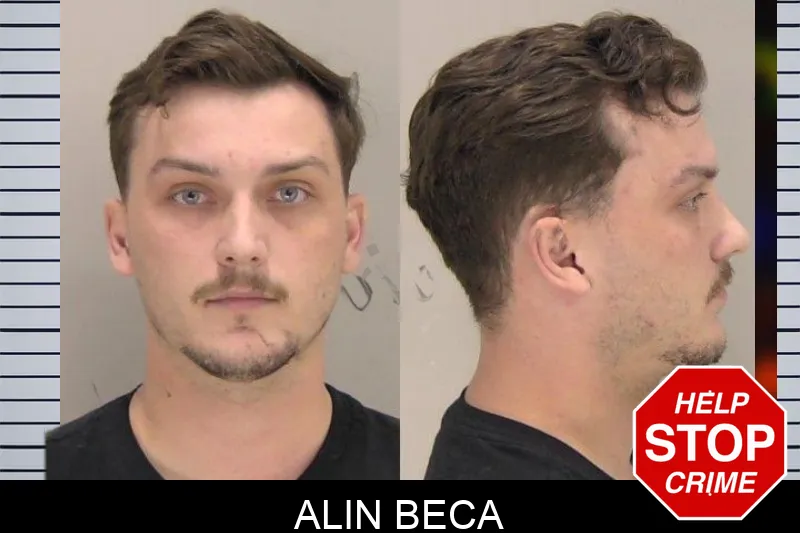 Alin Beca Mugshots