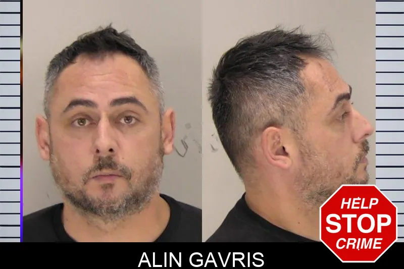 Alin Gavris mugshot