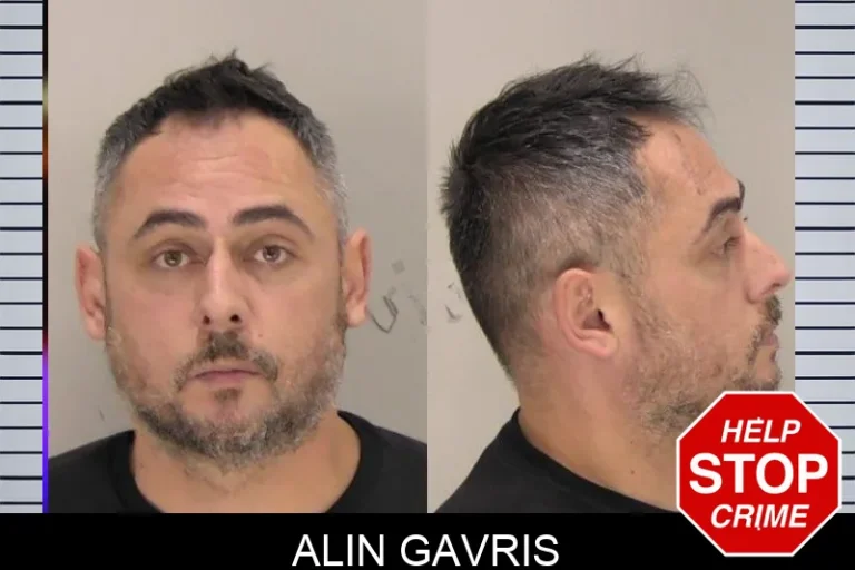 Alin Gavris mugshot – Richmond County , Georgia Alin Gavris