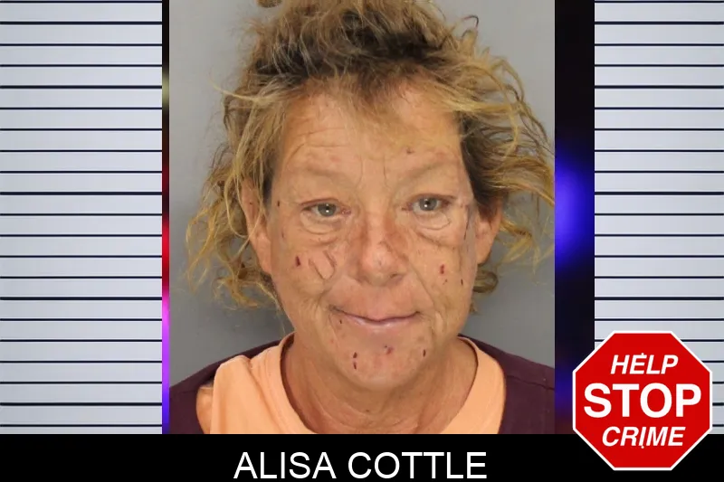 Alisa Cottle mugshot