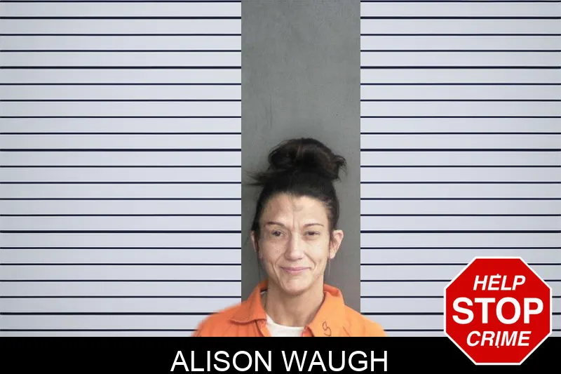 Alison Waugh Mugshots