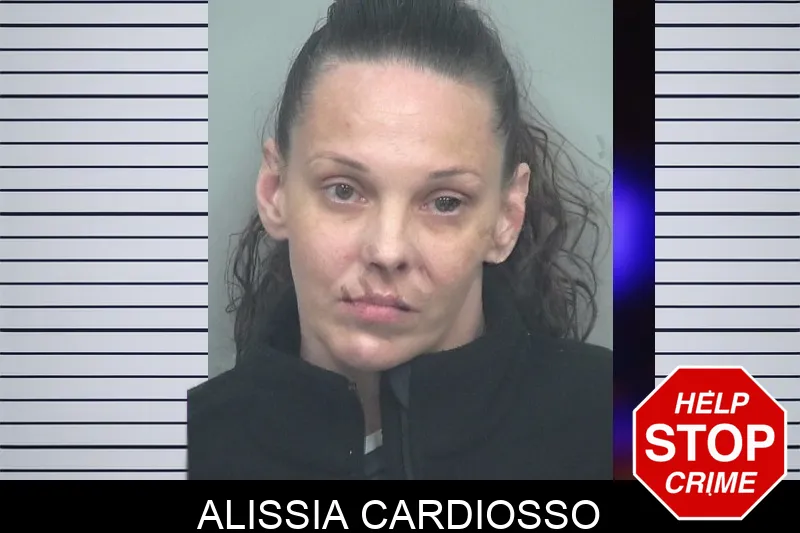 Alissia Cardiosso mugshot – Gwinnett County , Georgia Alissia Cardiosso mugshot