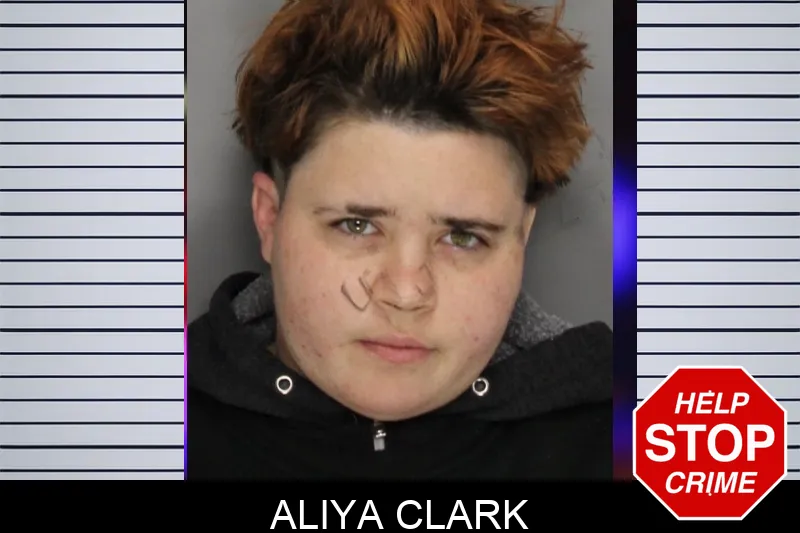 Aliya Clark mugshot