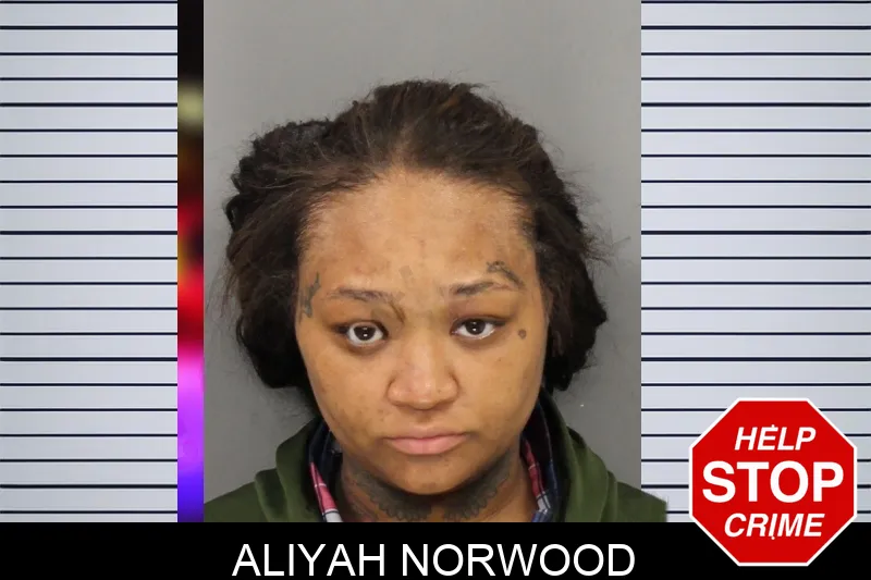 Aliyah Norwood Mugshots