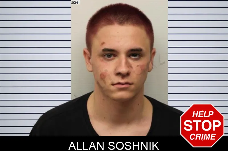 Allan Soshnik Mugshots