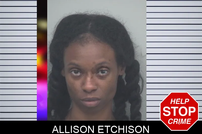 Allison Etchison mugshot – Gwinnett County , Georgia Allison Etchison mugshot