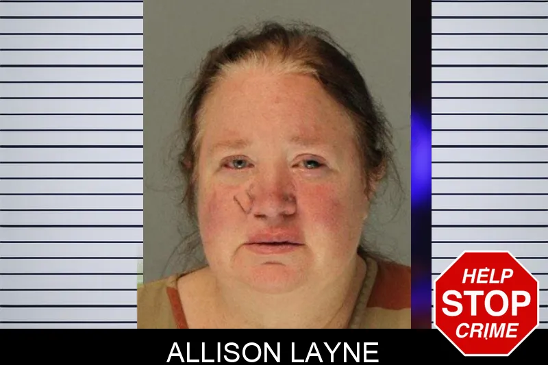 Allison Layne mugshot – Hall County , Georgia Allison Layne mugshot