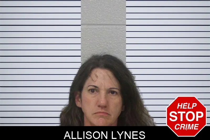 Allison Lynes Mugshots