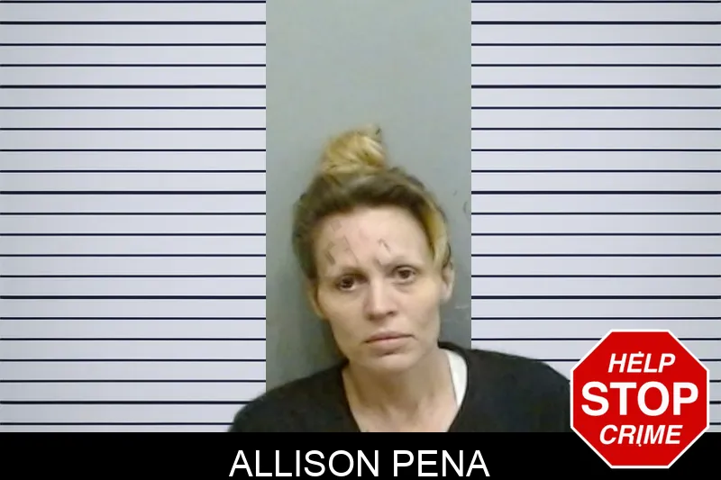 Allison Pena mugshot – Fulton County , Georgia Allison Pena mugshot
