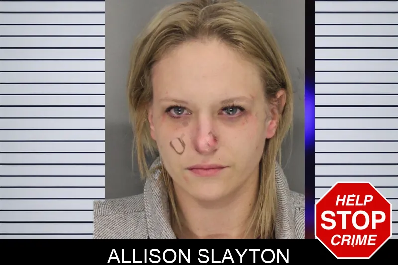 Allison Slayton mugshot – Cobb County , Georgia Allison Slayton mugshot
