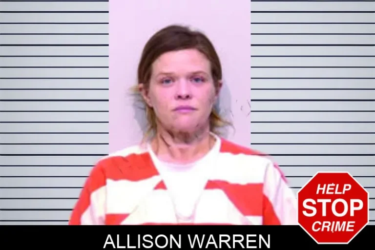 Allison Warren mugshot – Bartow County , Georgia Allison Warren