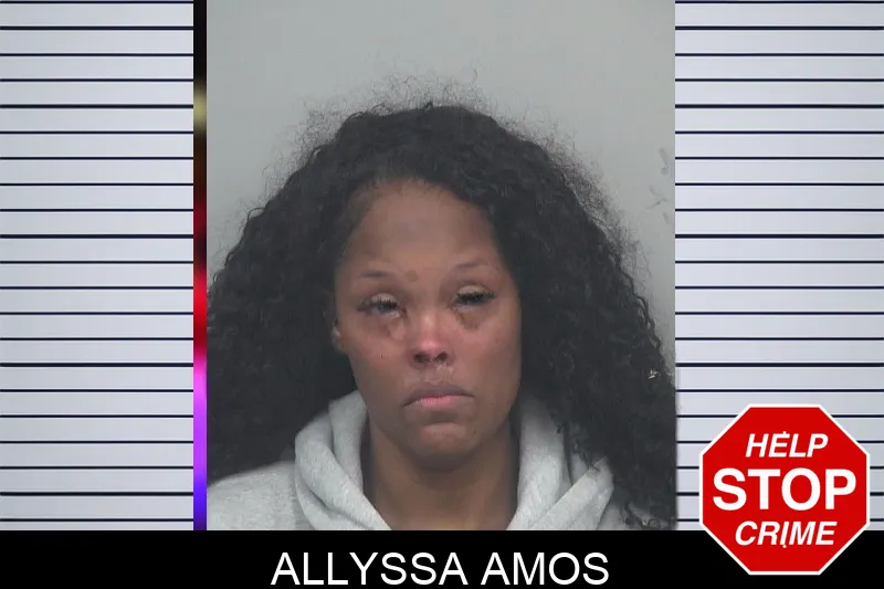 Allyssa Amos mugshot