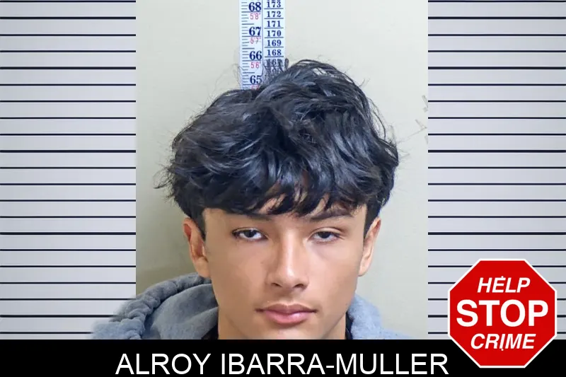 Alroy Ibarra-Muller mugshot – Gwinnett County , Georgia Alroy Ibarra-Muller mugshot