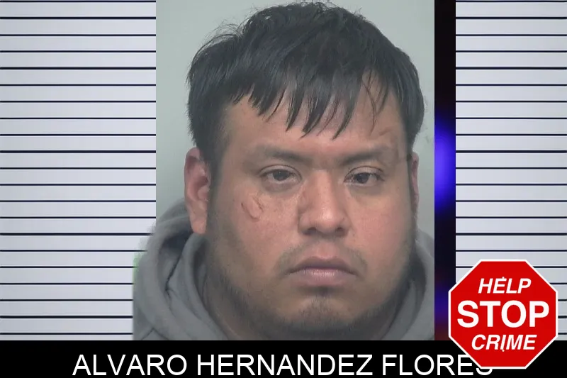 Alvaro Hernandez Flores mugshot