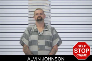 Alvin Johnson mugshot