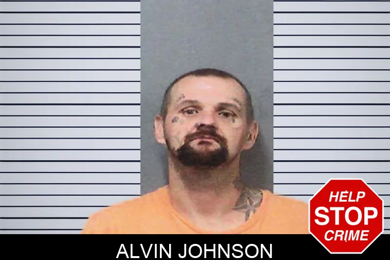 Alvin Johnson