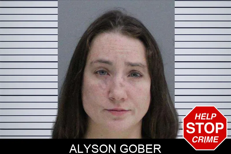 Alyson Gober Mugshots