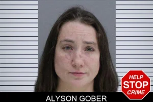Alyson Gober mugshot