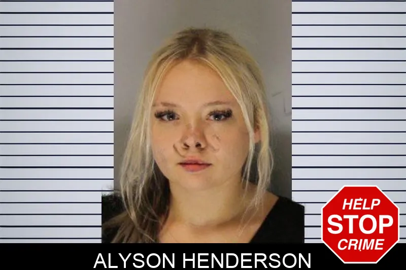 Alyson Henderson mugshot – Hall County , Georgia Alyson Henderson mugshot