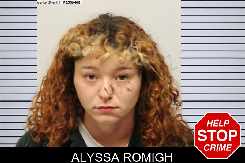 Alyssa Romigh mugshot – Chatham County , Georgia Alyssa Romigh mugshot
