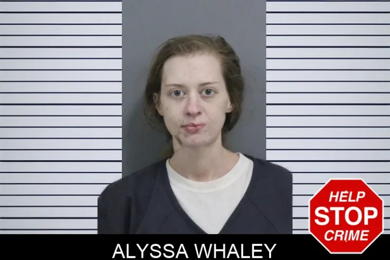 Alyssa Whaley