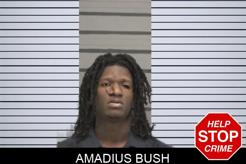 Amadius Bush