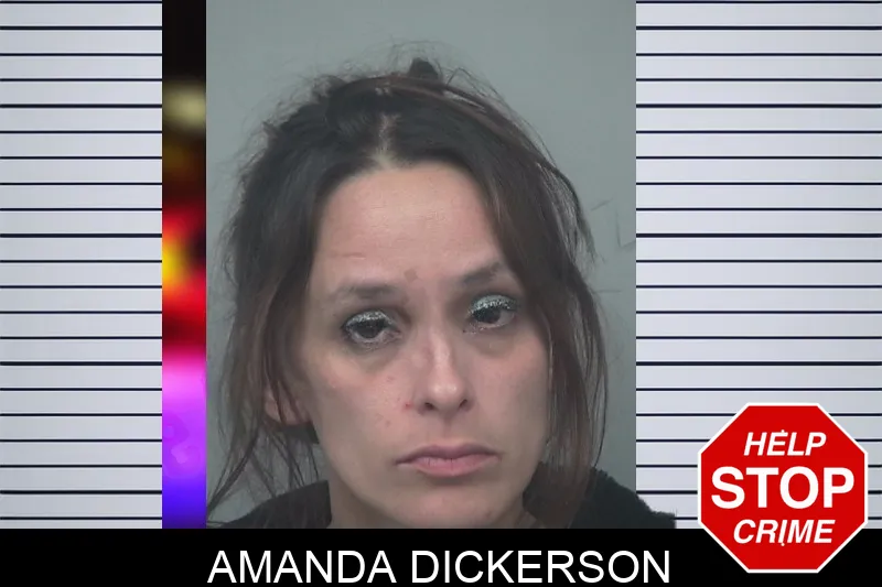 Amanda Dickerson mugshot – Gwinnett County , Georgia Amanda Dickerson mugshot