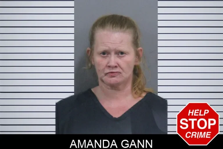 Amanda Gann mugshot – Catoosa County , Georgia Amanda Gann