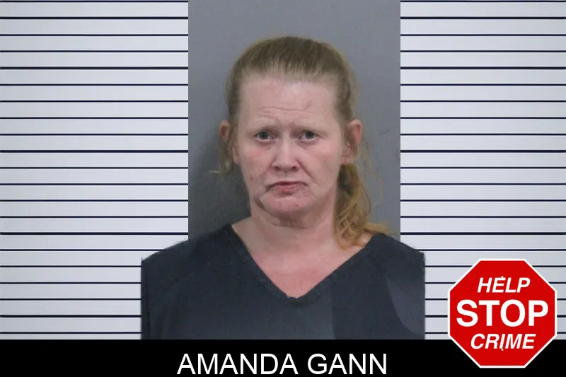 Amanda Gann Mugshots