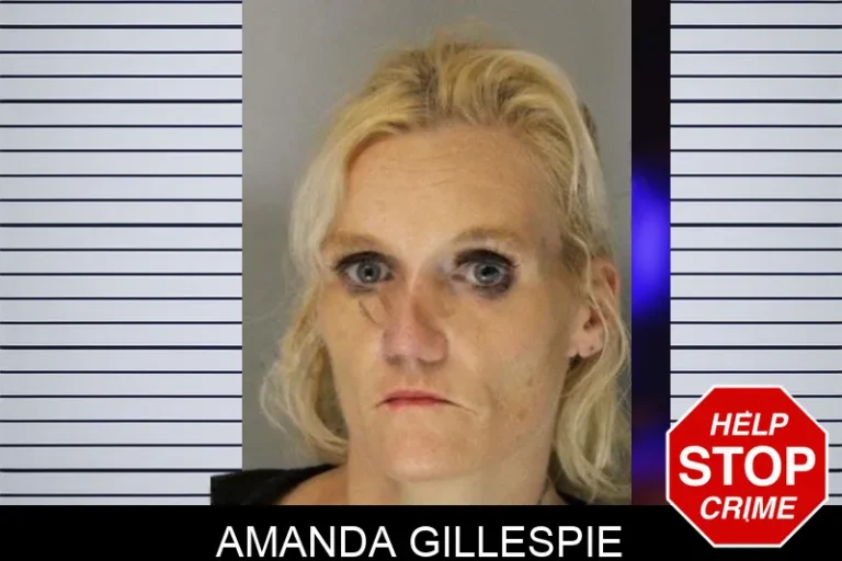 Amanda Gillespie mugshot – Hall County , Georgia Amanda Gillespie