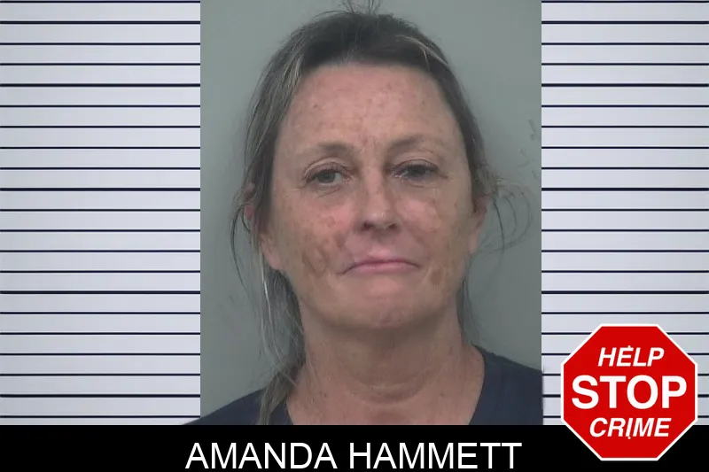 Amanda Hammett mugshot – Gwinnett County , Georgia Amanda Hammett mugshot