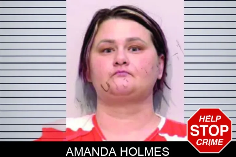 Amanda Holmes mugshot – Bartow County , Georgia Amanda Holmes