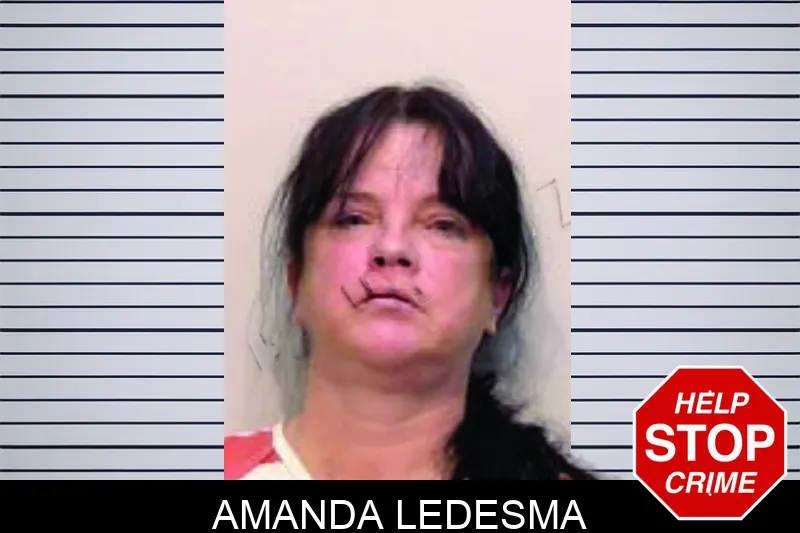 Amanda Ledesma Mugshots