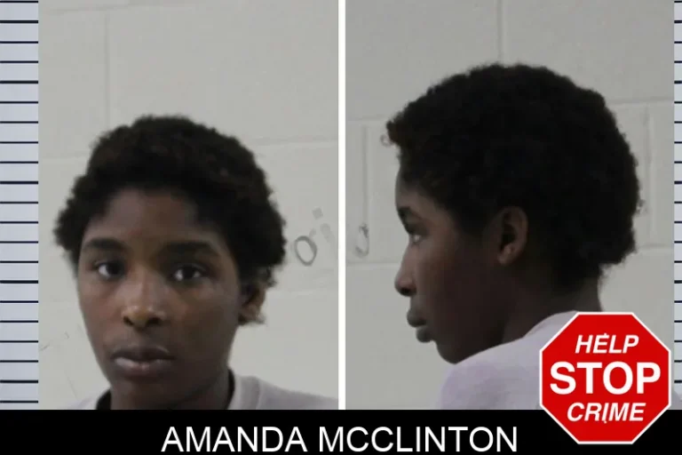 Amanda McClinton mugshot – Houston County , Georgia Amanda McClinton