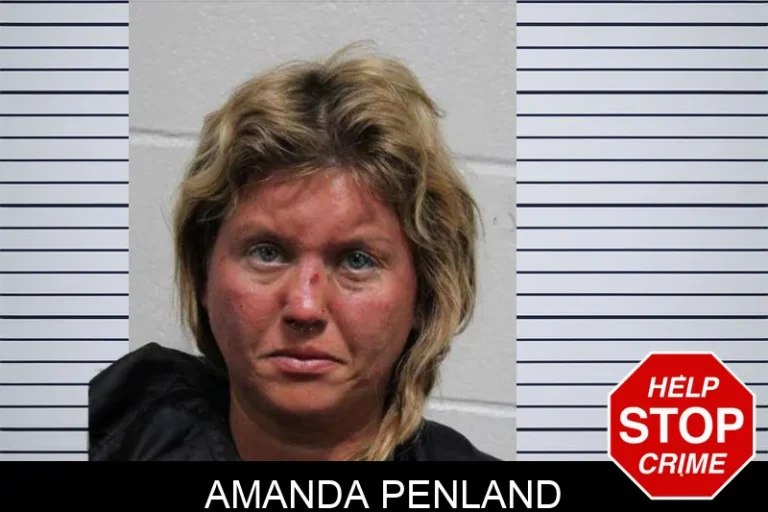 Amanda Penland mugshot – Habersham County , Georgia Amanda Penland