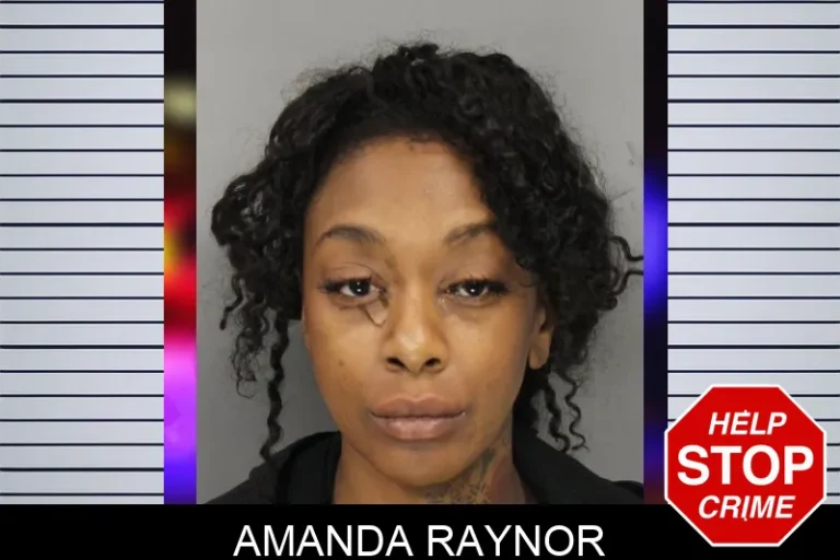 Amanda Raynor mugshot – Cobb County , Georgia Amanda Raynor