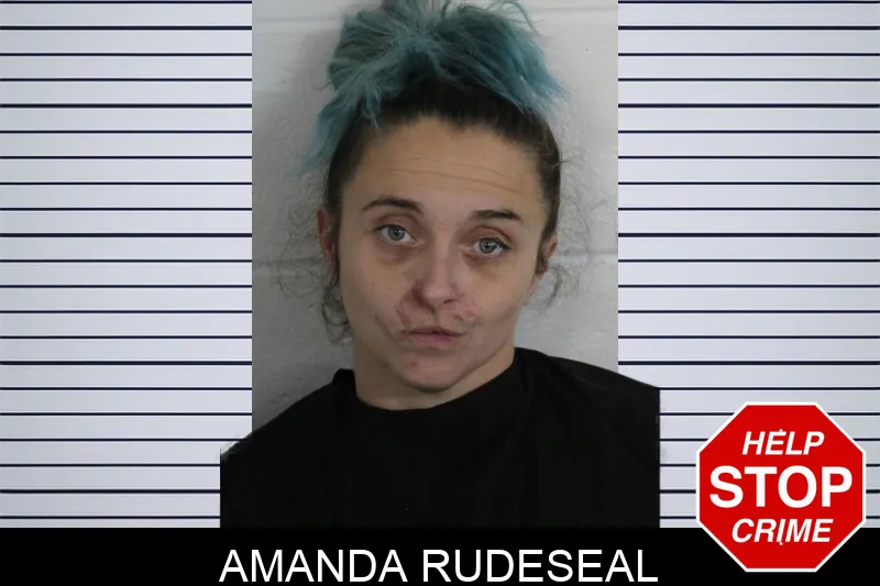 Amanda Rudeseal Mugshots
