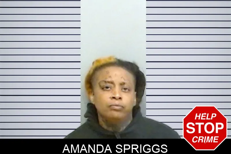 Amanda Spriggs mugshot
