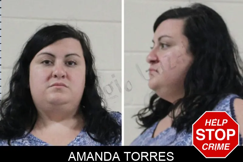Amanda Torres mugshot