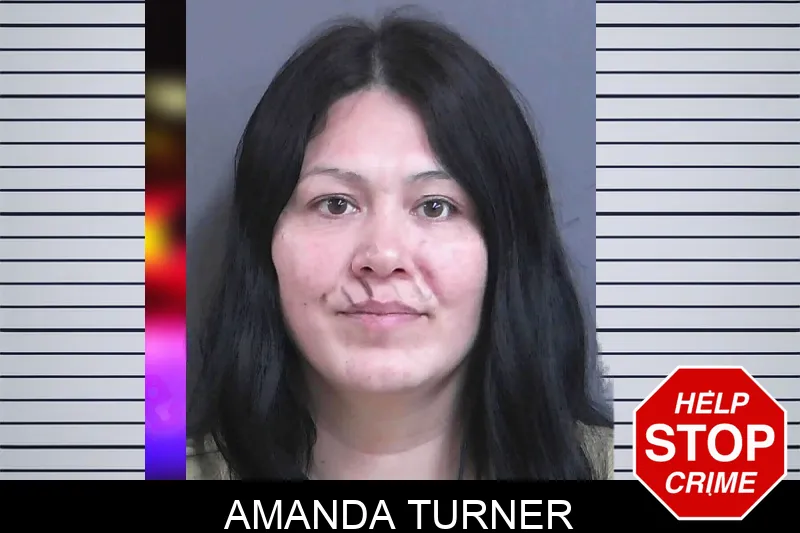 Amanda Turner Mugshots
