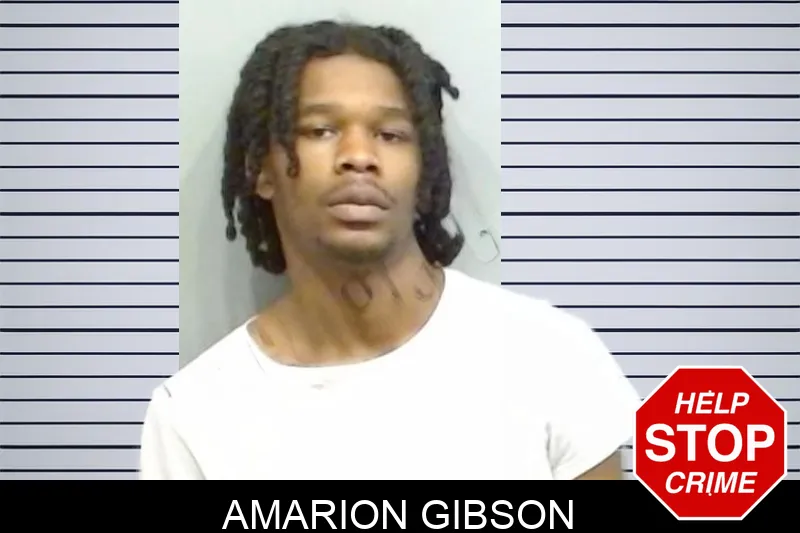 Amarion Gibson mugshot – Fulton County , Georgia Amarion Gibson mugshot