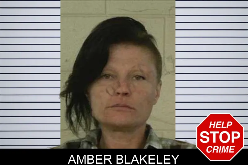 Amber Blakeley Mugshots