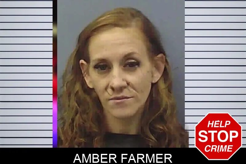 Amber Farmer Mugshots