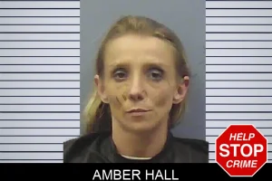 Amber Hall mugshot