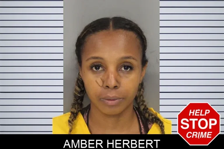 Amber Herbert