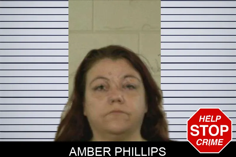 Amber Phillips Mugshots