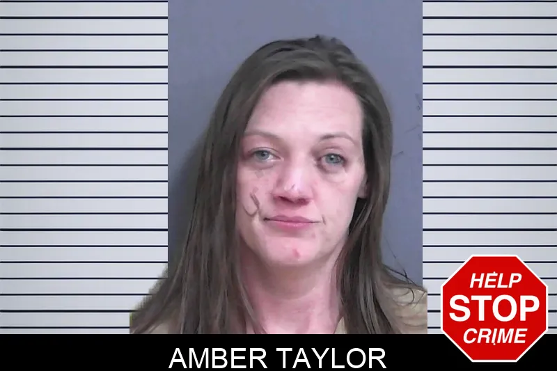 Amber Taylor Mugshots