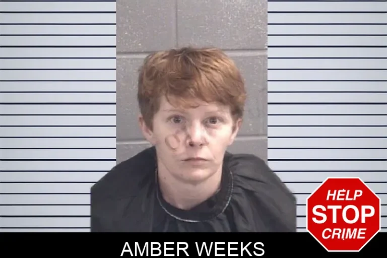 Amber Weeks mugshot – Spalding County , Georgia Amber Weeks