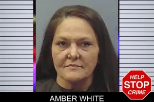 Amber White mugshot